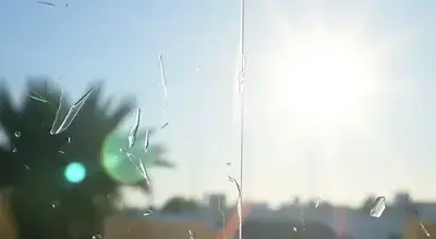 Sparkling clean window