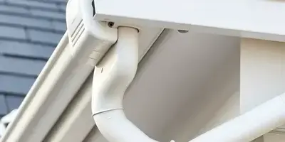 Gutter cleaning service