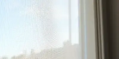 Window screen cleaning service